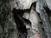 Печера Довбуша у Шешорах