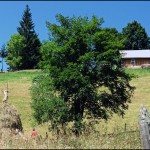 Люди працюють і в неділю