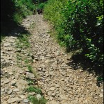 Кам’яна дорога