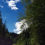 Ґрунтова дорога аж до самої Річки