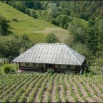 Барабулька в Карпатах